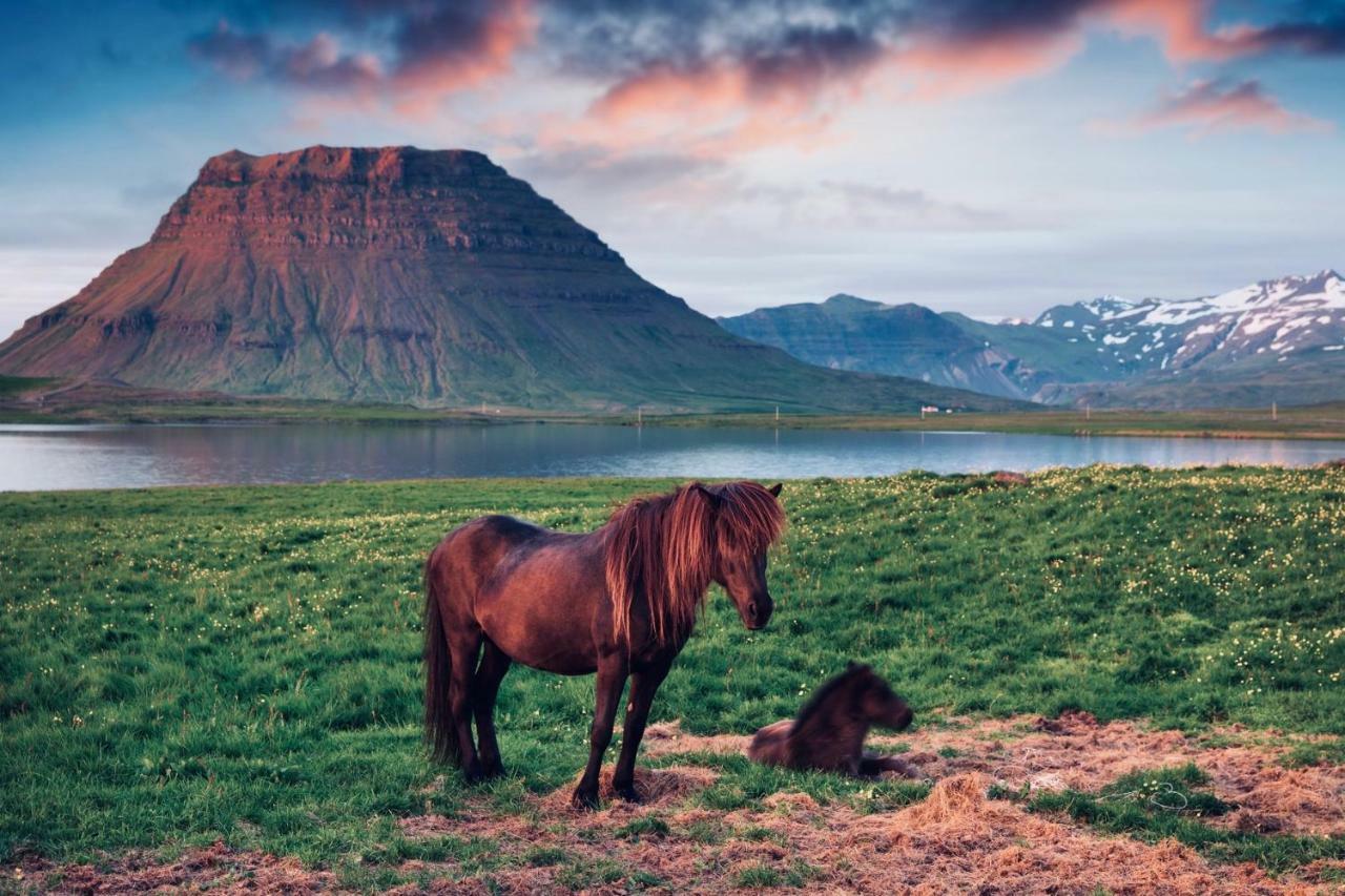 Experience Beautiful Iceland Оулафсвік Екстер'єр фото
