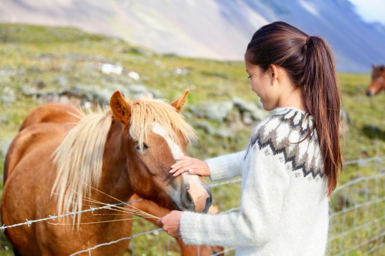 Experience Beautiful Iceland Оулафсвік Екстер'єр фото